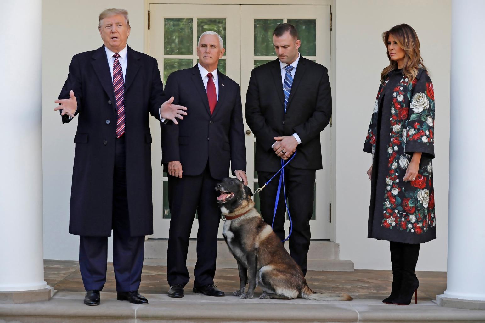 A dog at the White House reveals something unexpected